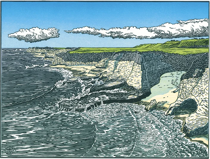 Wilder Coast, Santa Cruz — Tom Killion